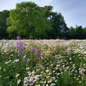 New Cambridge Climate Map