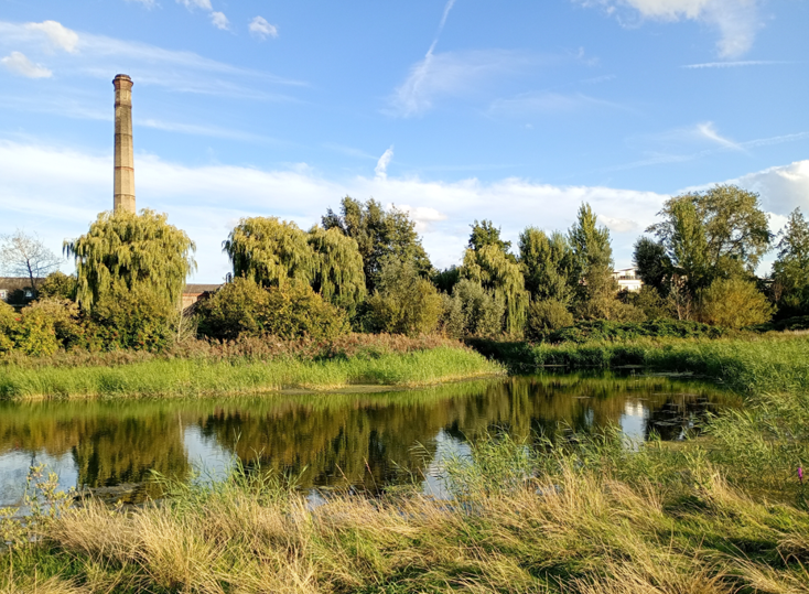Logan's Meadow local nature reserve