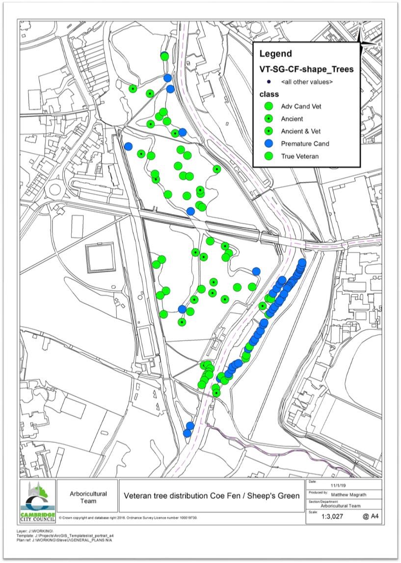 Map showing locations of veteran trees and veteran candidates