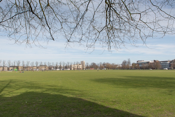 View looking north across Parker's Piece