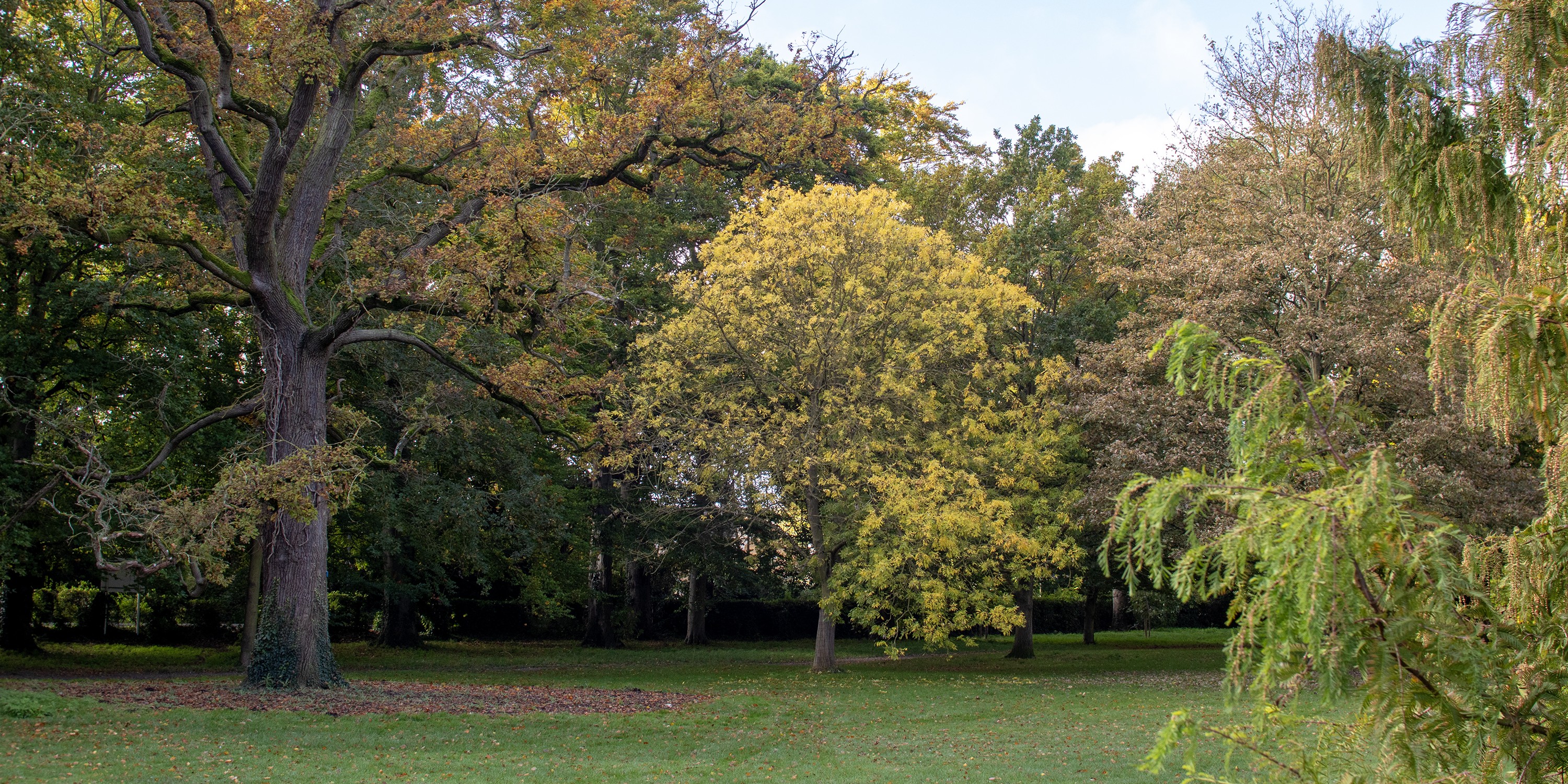 Cherry Hinton Hall park