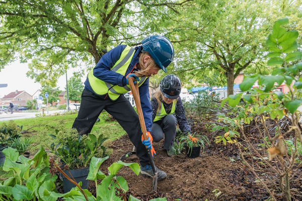 Tree Planting At Colville Road Phase 3 5 Scaled