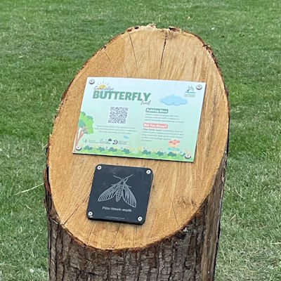 Butterfly trail marker