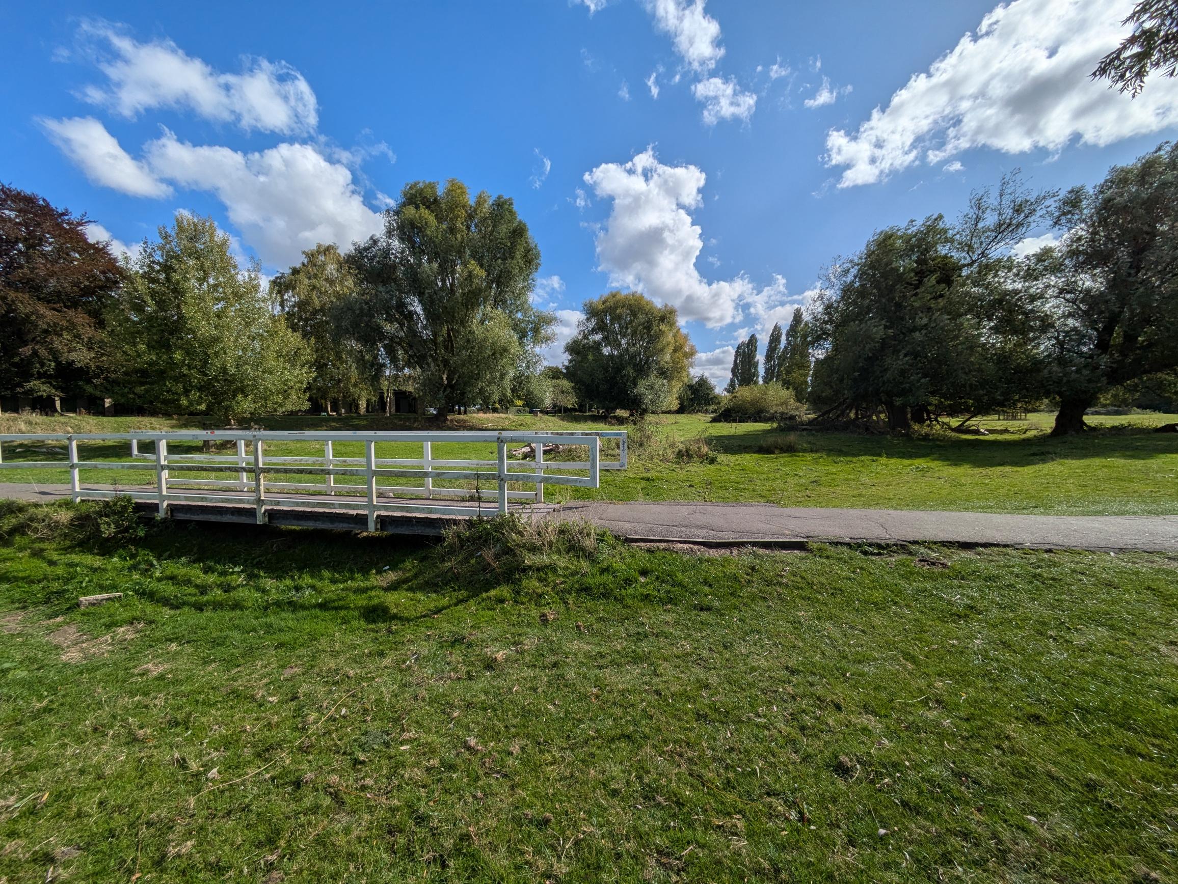 Sheepsgreen1