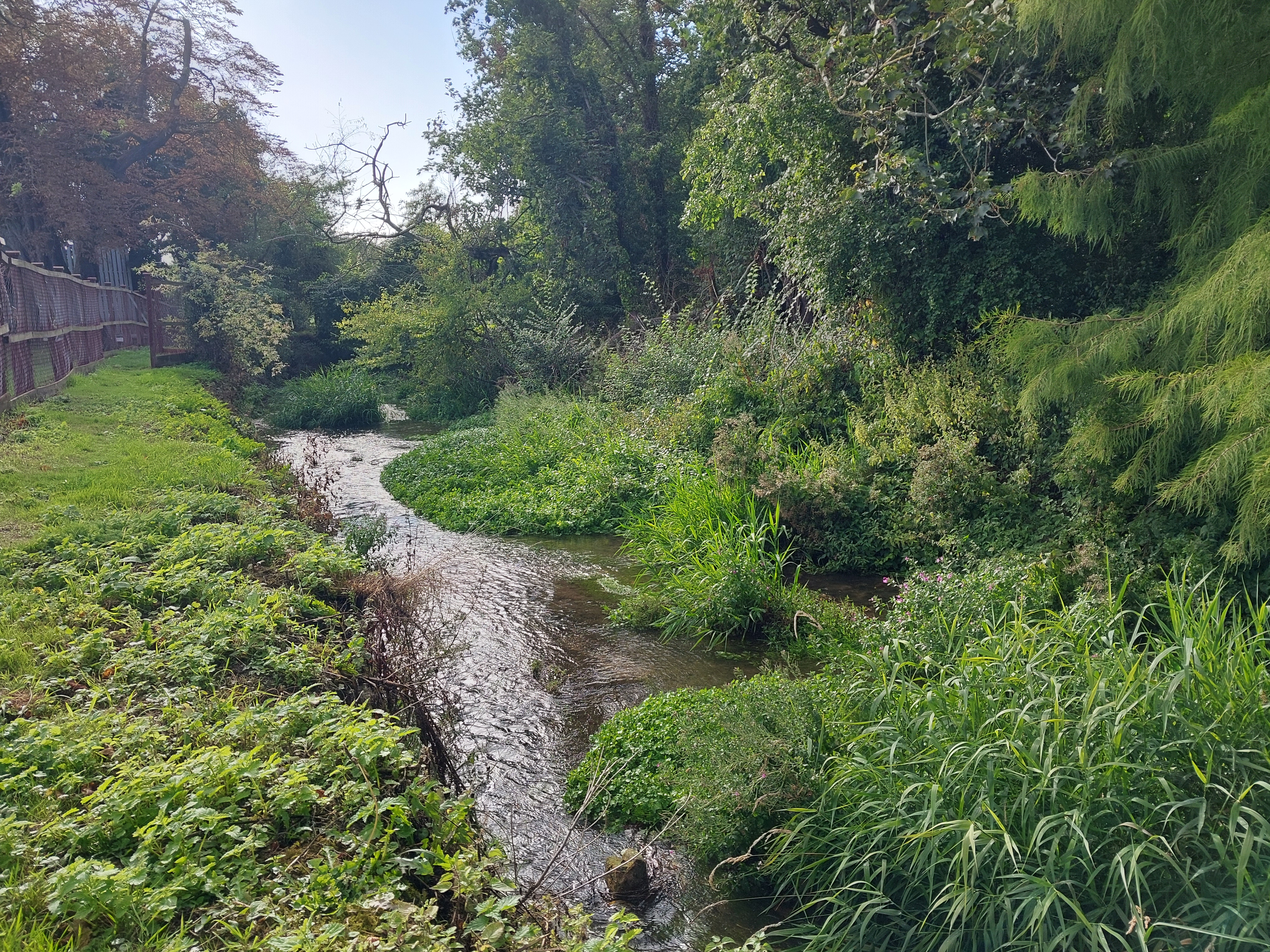 River Granta Abington Late Summer Chalk Stream